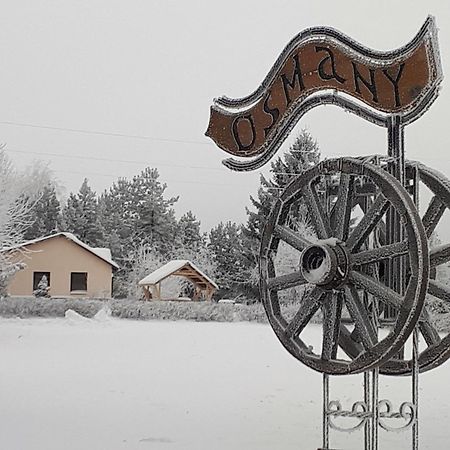 Hotel Viesu Maja "Osmany" Dvarci Exteriér fotografie